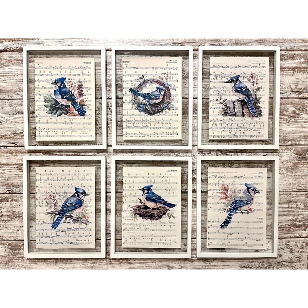 Blue Jay Bird Sheet Music 8x10 Wall Collage Artwork Picture Prints, Set of 6